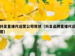 抖音直播代运营公司现状（抖音品牌直播代运营）