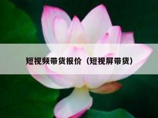 短视频带货报价（短视屏带货）