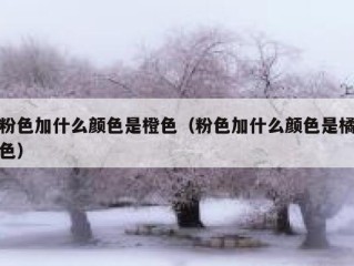 粉色加什么颜色是橙色（粉色加什么颜色是橘色）