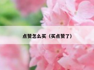 点赞怎么买（买点赞了）