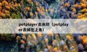 potplayer去水印（potplayer去掉左上角）