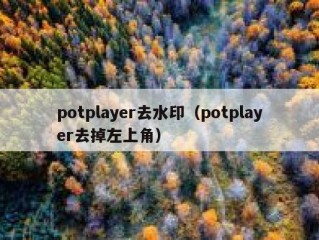 potplayer去水印（potplayer去掉左上角）