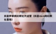 抖音种草网红孵化代运营（抖音mcn网红孵化基地）