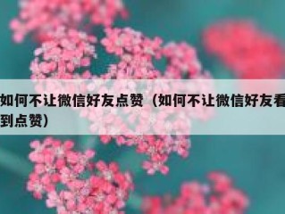 如何不让微信好友点赞（如何不让微信好友看到点赞）