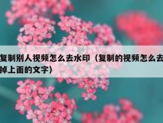 复制别人视频怎么去水印（复制的视频怎么去掉上面的文字）