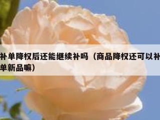 补单降权后还能继续补吗（商品降权还可以补单新品嘛）