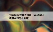 youtube视频去水印（youtube视频水印怎么去除）