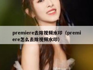 premiere去除视频水印（premiere怎么去除视频水印）