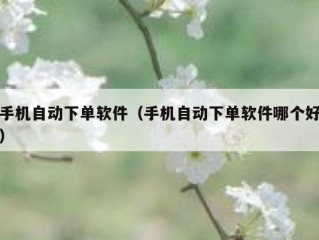 手机自动下单软件（手机自动下单软件哪个好）