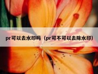 pr可以去水印吗（pr可不可以去除水印）