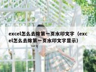 excel怎么去除第一页水印文字（excel怎么去除第一页水印文字显示）