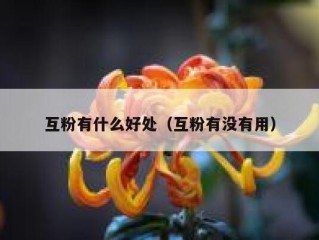 互粉有什么好处（互粉有没有用）