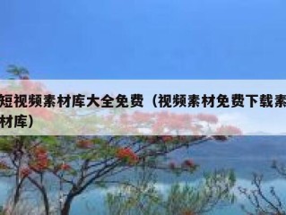 短视频素材库大全免费（视频素材免费下载素材库）