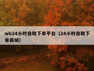 wb24小时自助下单平台（24小时自助下单商城）