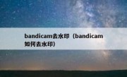 bandicam去水印（bandicam如何去水印）