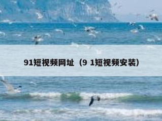 91短视频网址（9 1短视频安装）