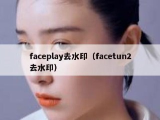 faceplay去水印（facetun2去水印）