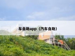 车自助app（汽车自助）