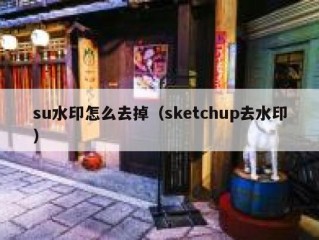 su水印怎么去掉（sketchup去水印）