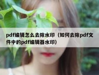 pdf编辑怎么去除水印（如何去除pdf文件中的pdf编辑器水印）