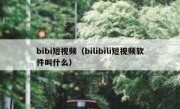 bibi短视频（bilibili短视频软件叫什么）