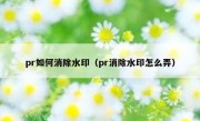 pr如何消除水印（pr消除水印怎么弄）