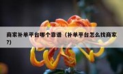 商家补单平台哪个靠谱（补单平台怎么找商家?）