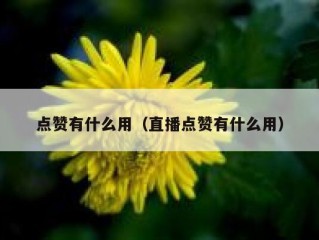 点赞有什么用（直播点赞有什么用）