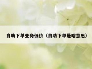 自助下单业务低价（自助下单是啥意思）