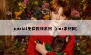 mixkit免费视频素材（mix素材网）