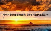 咸宁抖音代运营哪里找（湖北抖音代运营公司）