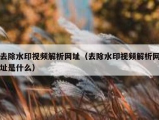 去除水印视频解析网址（去除水印视频解析网址是什么）