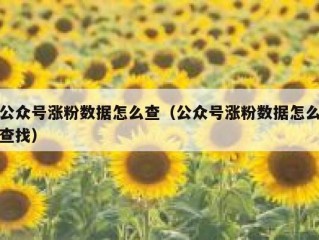 公众号涨粉数据怎么查（公众号涨粉数据怎么查找）