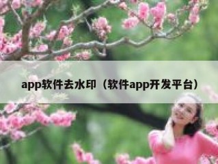 app软件去水印（软件app开发平台）