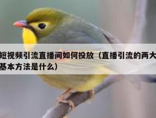 短视频引流直播间如何投放（直播引流的两大基本方法是什么）