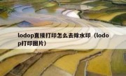 lodop直接打印怎么去除水印（lodop打印图片）