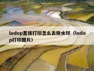 lodop直接打印怎么去除水印（lodop打印图片）