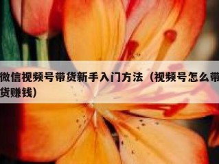 微信视频号带货新手入门方法（视频号怎么带货赚钱）