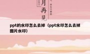 ppt的水印怎么去掉（ppt水印怎么去掉图片水印）