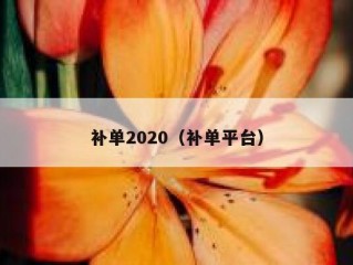 补单2020（补单平台）