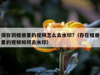 保存到相册里的视频怎么去水印?（存在相册里的视频如何去水印）