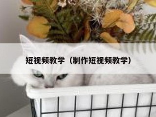 短视频教学（制作短视频教学）