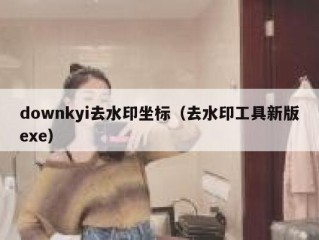 downkyi去水印坐标（去水印工具新版exe）