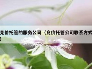 竞价托管的服务公司（竞价托管公司联系方式）