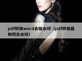 pdf转换word去除水印（pdf转换器如何去水印）