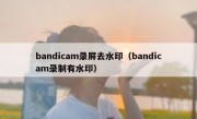 bandicam录屏去水印（bandicam录制有水印）