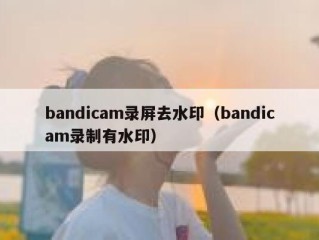 bandicam录屏去水印（bandicam录制有水印）