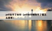 pdf去不了水印（pdf水印删除不了是怎么回事）