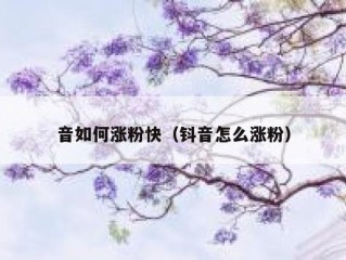 音如何涨粉快（钭音怎么涨粉）