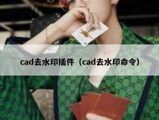 cad去水印插件（cad去水印命令）